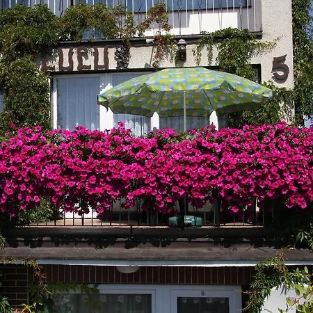 Goscinne Lulu Séjour chez l'habitant