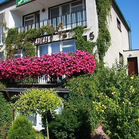 홈스테이 Goscinne Lulu *