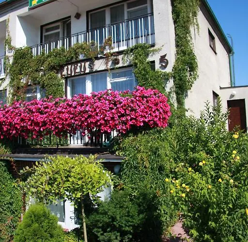 Homestay szállás Goscinne Lulu *